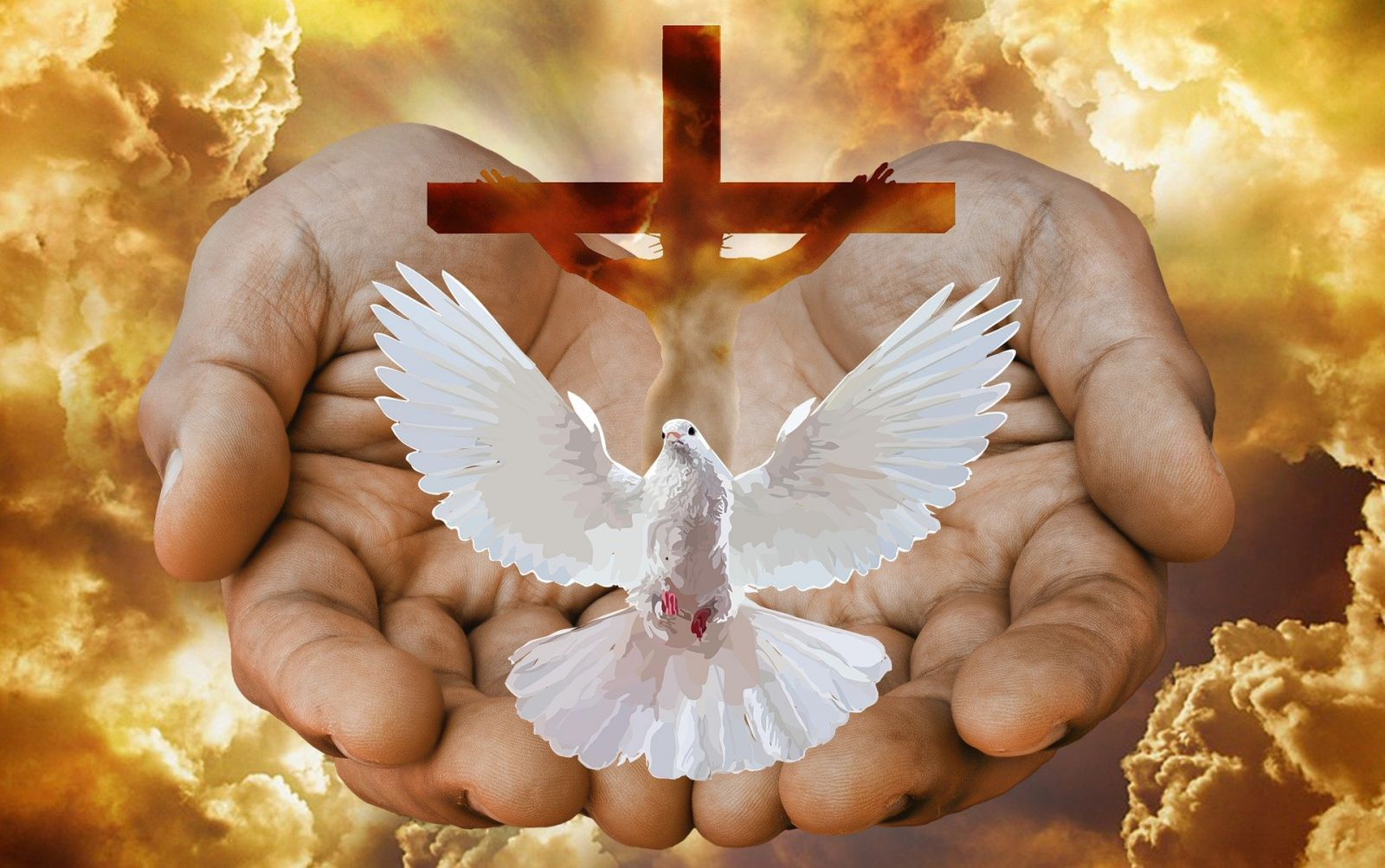 Novena allo Spirito Santo